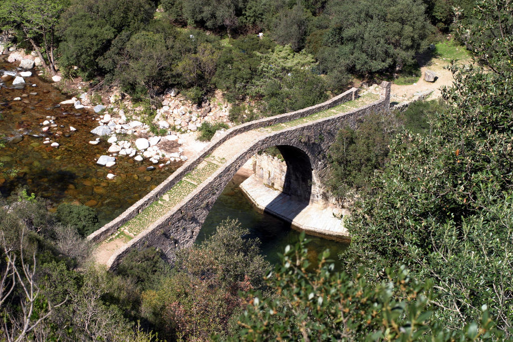 Capo D'orto