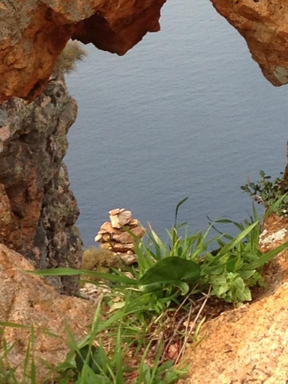 Capo D'orto