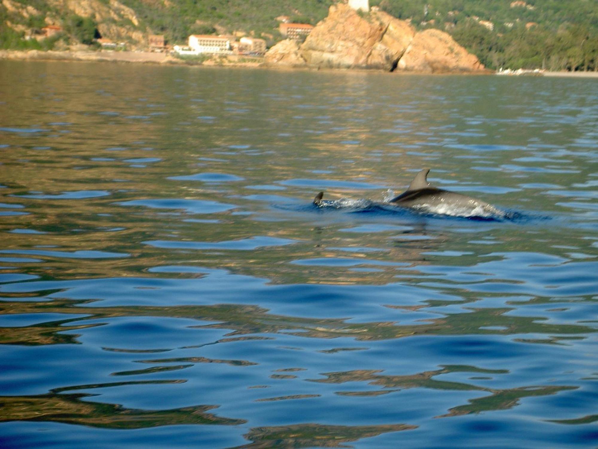 Hotel Capo D'orto
