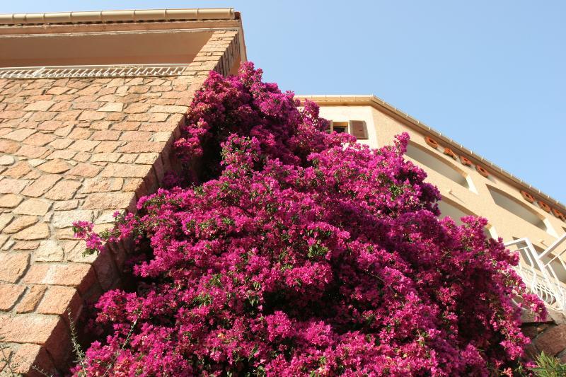 Hotel Capo D'orto Porto (Corsica)